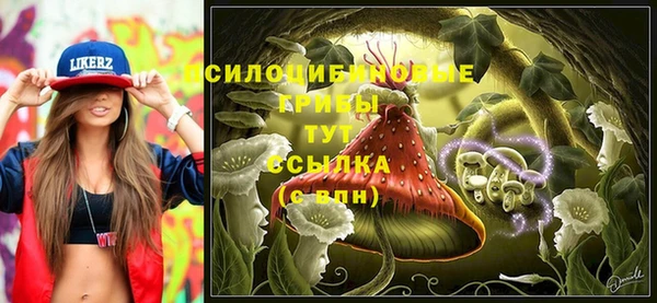 герыч Зеленодольск
