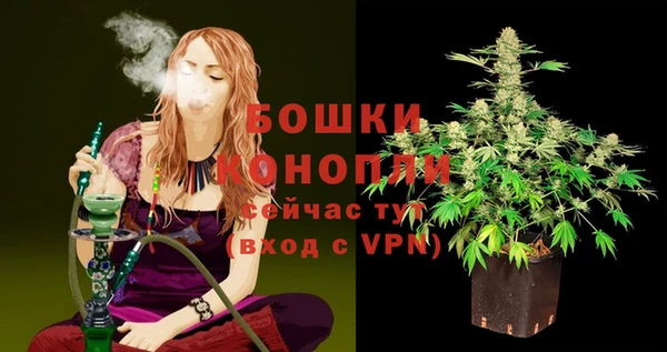 МДПВ Иннополис